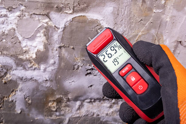 Best Emergency Mold Removal  in Dunnellon, FL